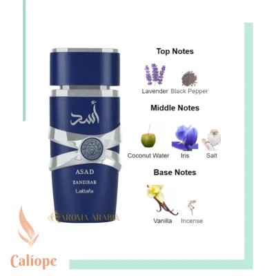 Asad Zanzibar 100ml - LATTAFA - Imagen 4
