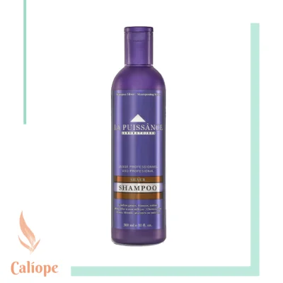 Silver Matizador x300ml