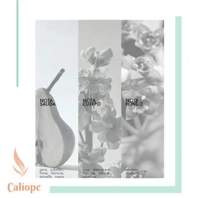 BALANCE by Dadatina edp - Imagen 5